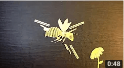 abejas chan chan.JPG