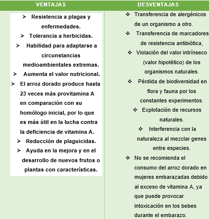 blog 14