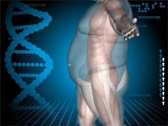 obesidad-y-genetica-1024x768
